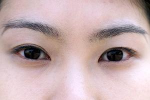 川崎で最高の癒しとプライバシーを求める男性のための特別な宿泊先